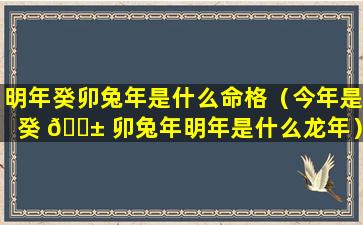 明年癸卯兔年是什么命格（今年是癸 🐱 卯兔年明年是什么龙年）